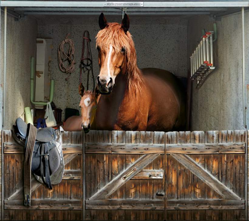 horses on your garage door