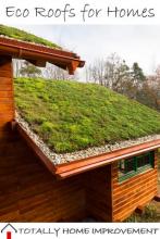 Let's Take a Look at Eco Roofs for Homes